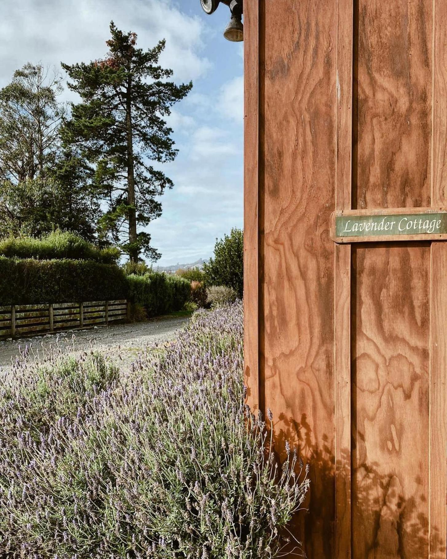 Havelock North Holiday Park Bagian luar foto